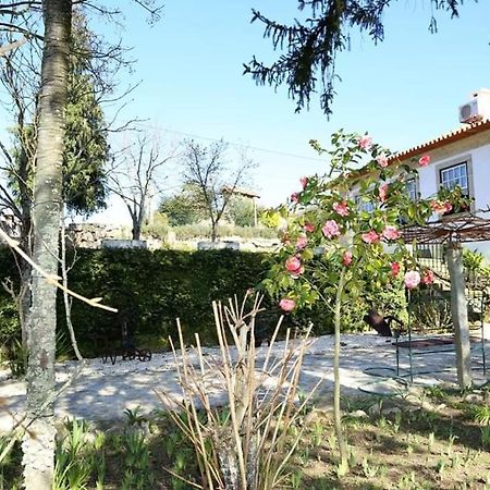 Quinta De Vila Verde- Paixao Ancestral, Turismo Rural Marco de Canavezes Exterior foto